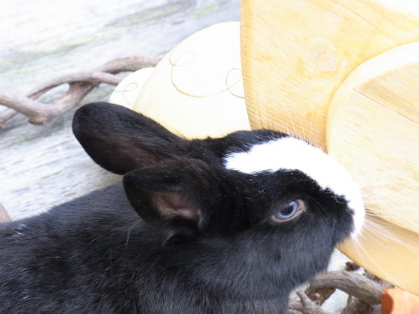 Mein kleiner aufgew�gter Blitz :)