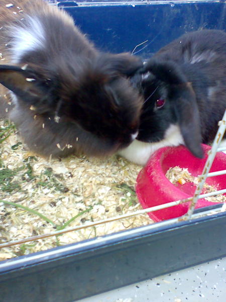 Bild009