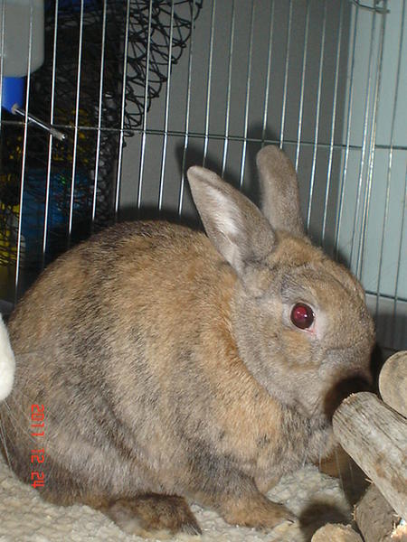 DSC00708