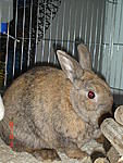 DSC00708