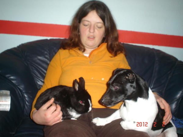 DSC00753