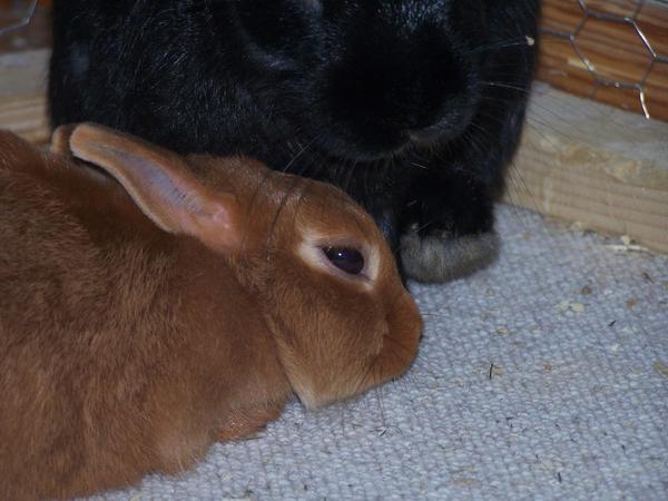 beim ankuscheln