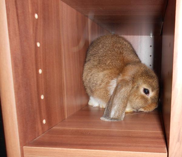 verstecken spielen :D