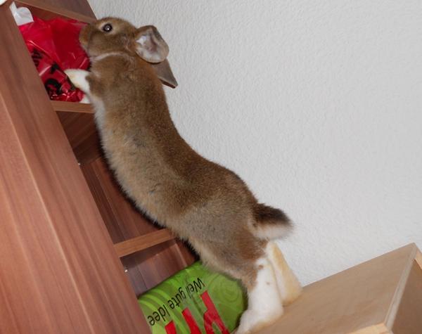 gaaanz gro� ist sie schon :D