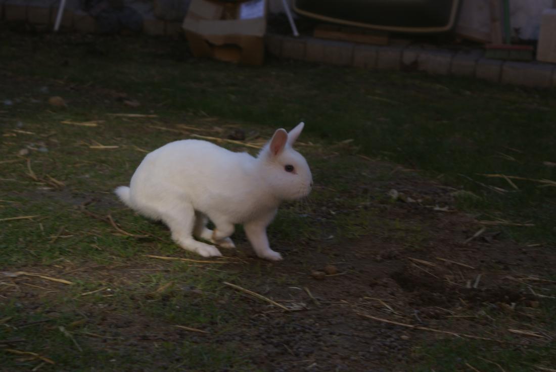 DSC00345