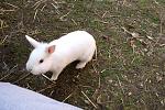 DSC00504