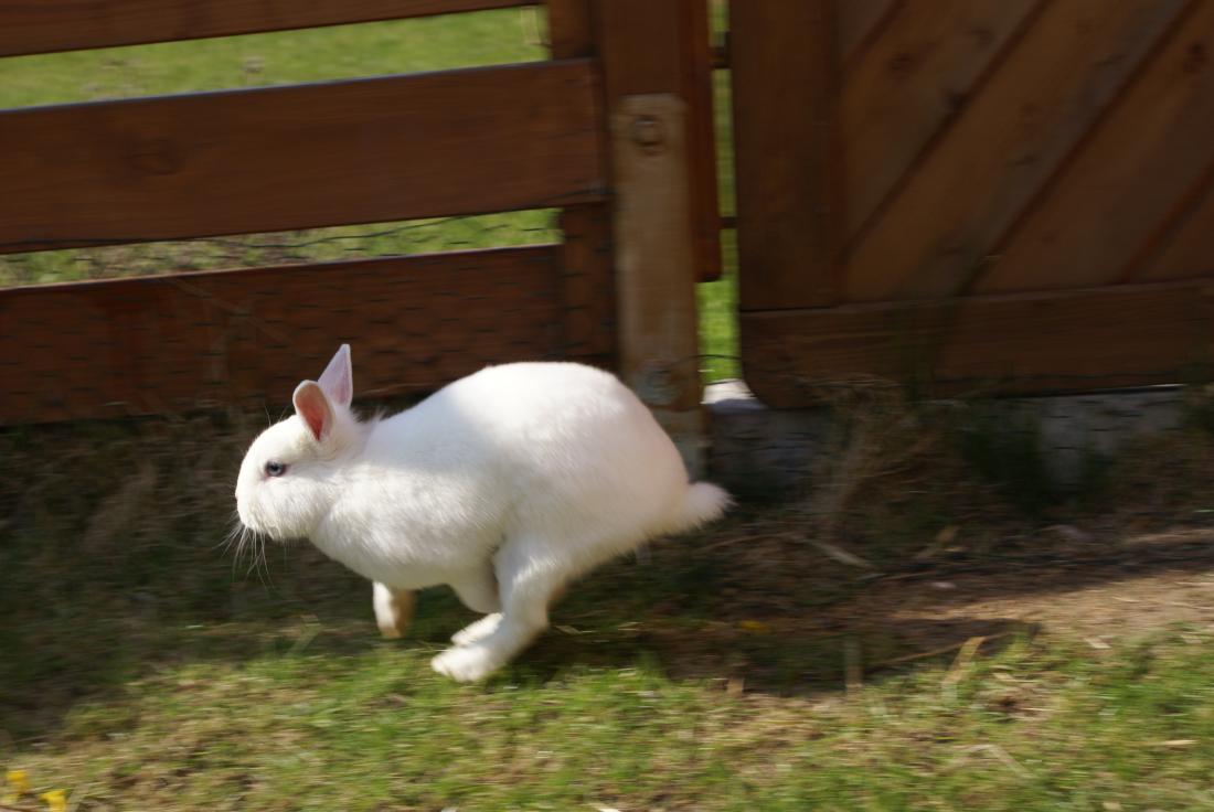 DSC00581
