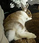 Foto0196