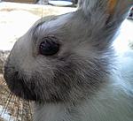 Foto0199