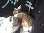 Foto0739