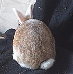 Foto0741