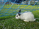 DSC01965