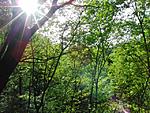 Alles m�gliche