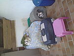 DSC01123