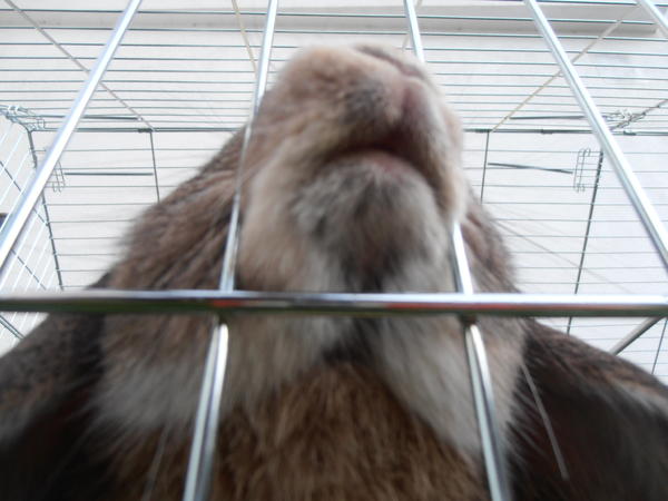 snif snif snif...