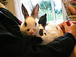 Da hatte ich die beiden grade mal 2 Stunden :) 
 
Anton & Freddy