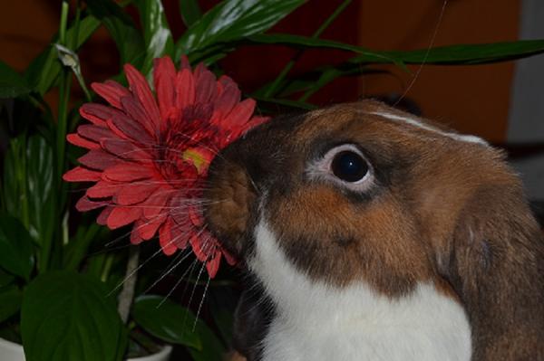 Sammy :)