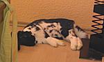 IMAG0040 (2)
