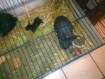 de janz family =)