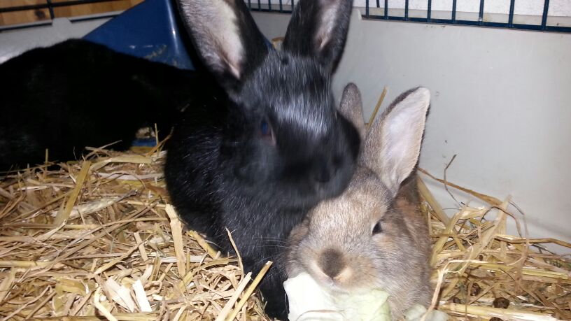 unsere j�ngsten...