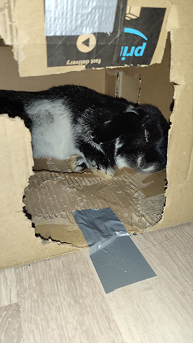 Amazon macht die besten Betten!