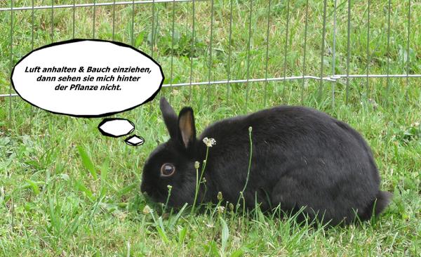 Tarnung ist alles ;)