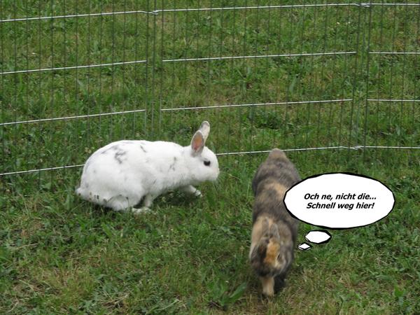 Fluuucht! ;)