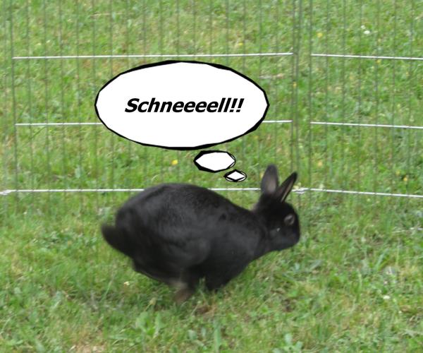 Renn weg ;)