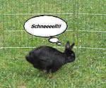 Renn weg ;)