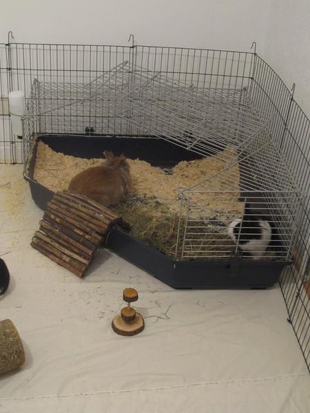 Rechts