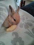 Das ist P�nktchen mit 18 Tagen