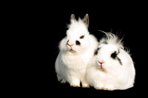 MG 7672 001 640x426