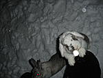 Spiel und Spa� im Schnee...