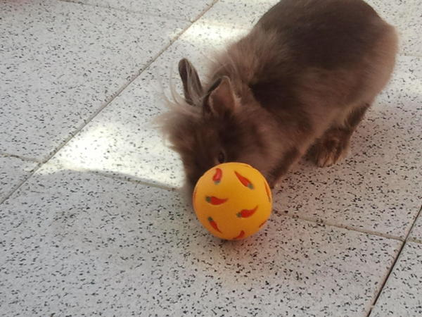 Na r�ck schon was raus!
