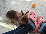 Leckere Hose