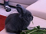 IMG 0574