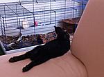 IMG 0599