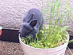 IMG 0681