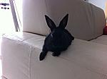 IMG 0691