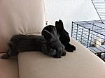 IMG 0694