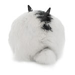 Hasen