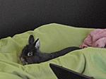 So sieht ein Tag auf dem Sofa aus ^^