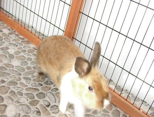 Weg daaaa!