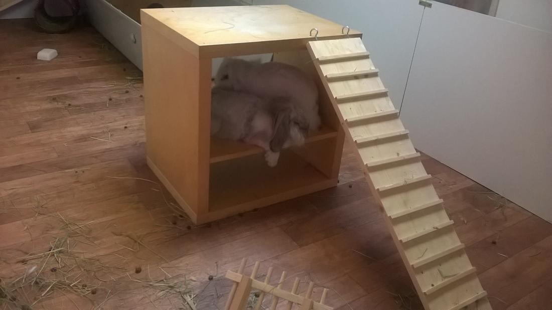 sie waren ein wahres Traumpaar