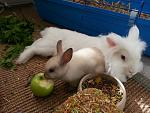 Sternchen und Lena