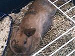 IMG 20130214 WA0009