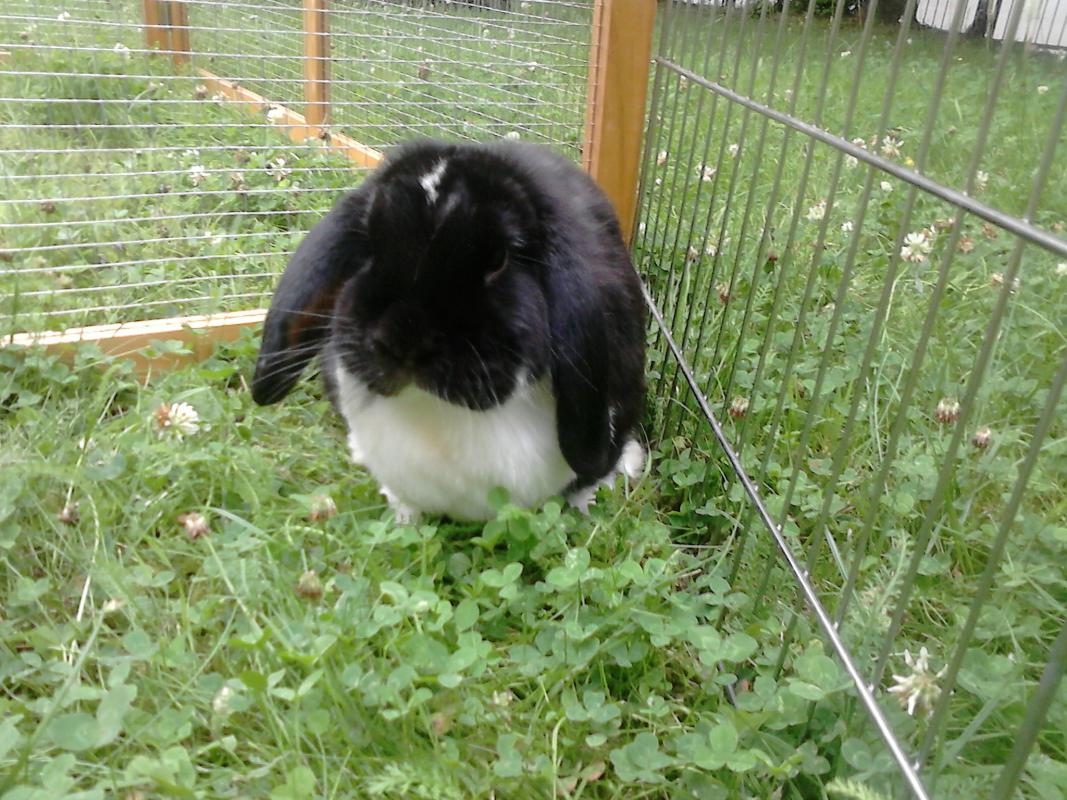 Lilly <3