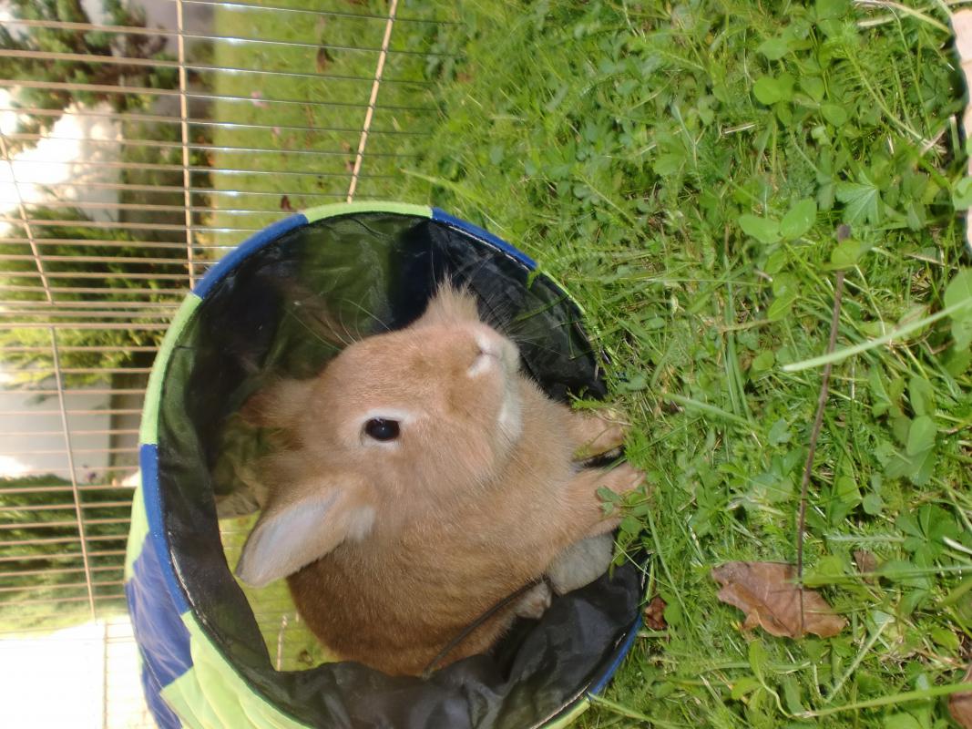 Timmy :)