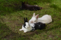 Fips und Maxi