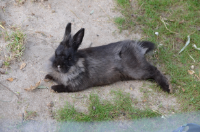 Lilly im Sandbad